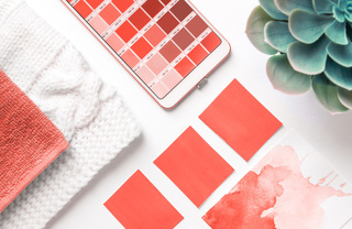 pantone coral color swatches on table next to succulent