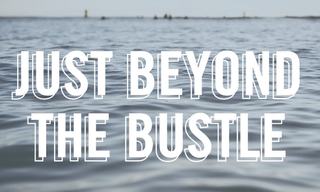 words over Alameda waterfront that say "just beyond the bustle"