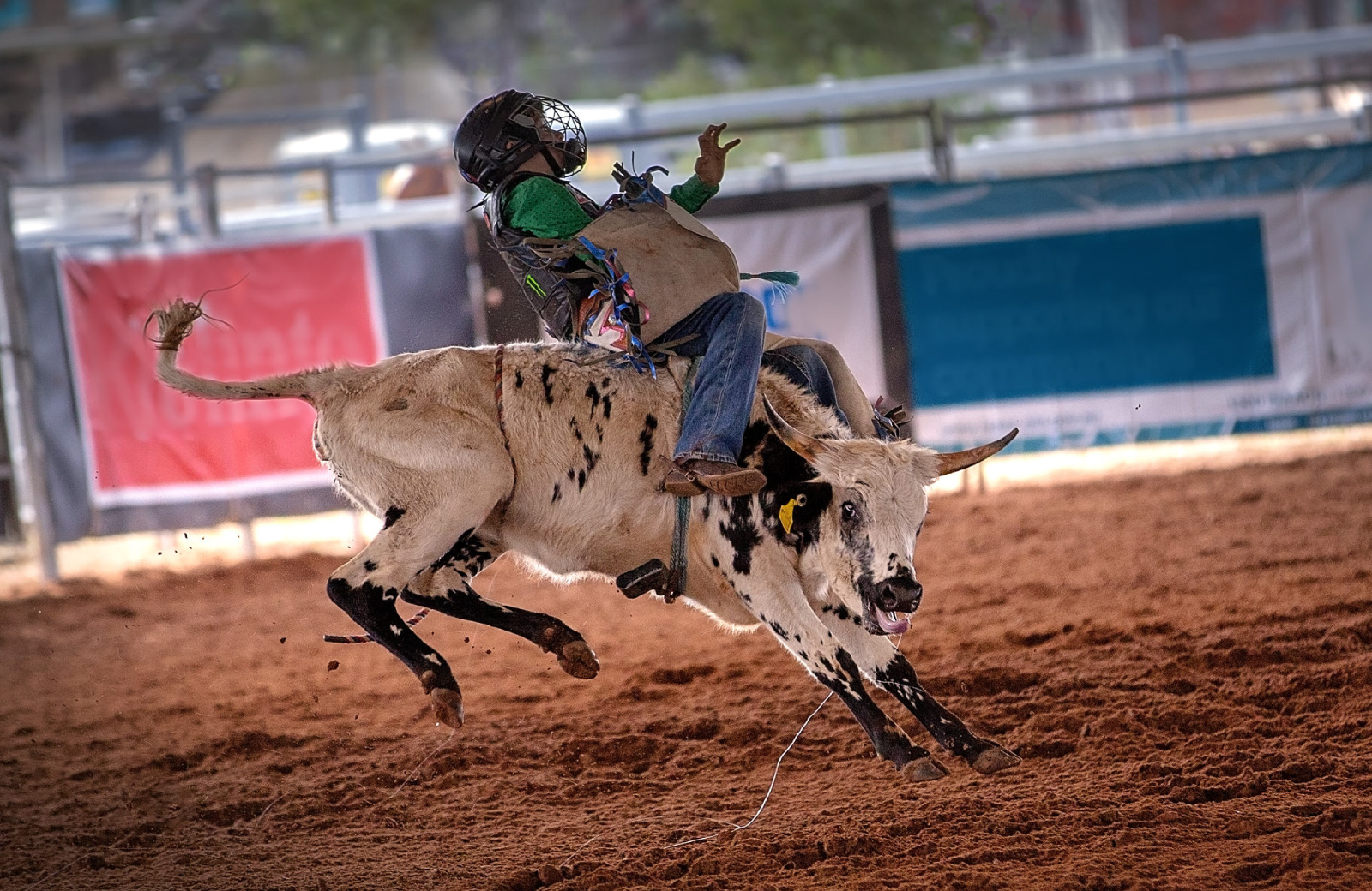 rodeo