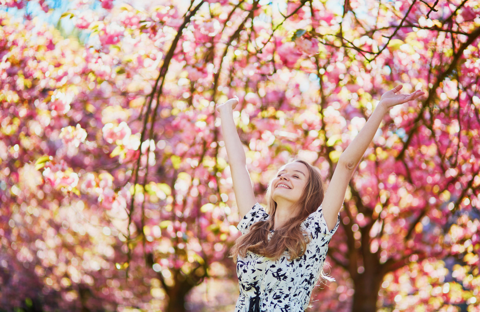 woman enjoying pink spring blossoms on trees in Upper East Side NYC park - The Cole