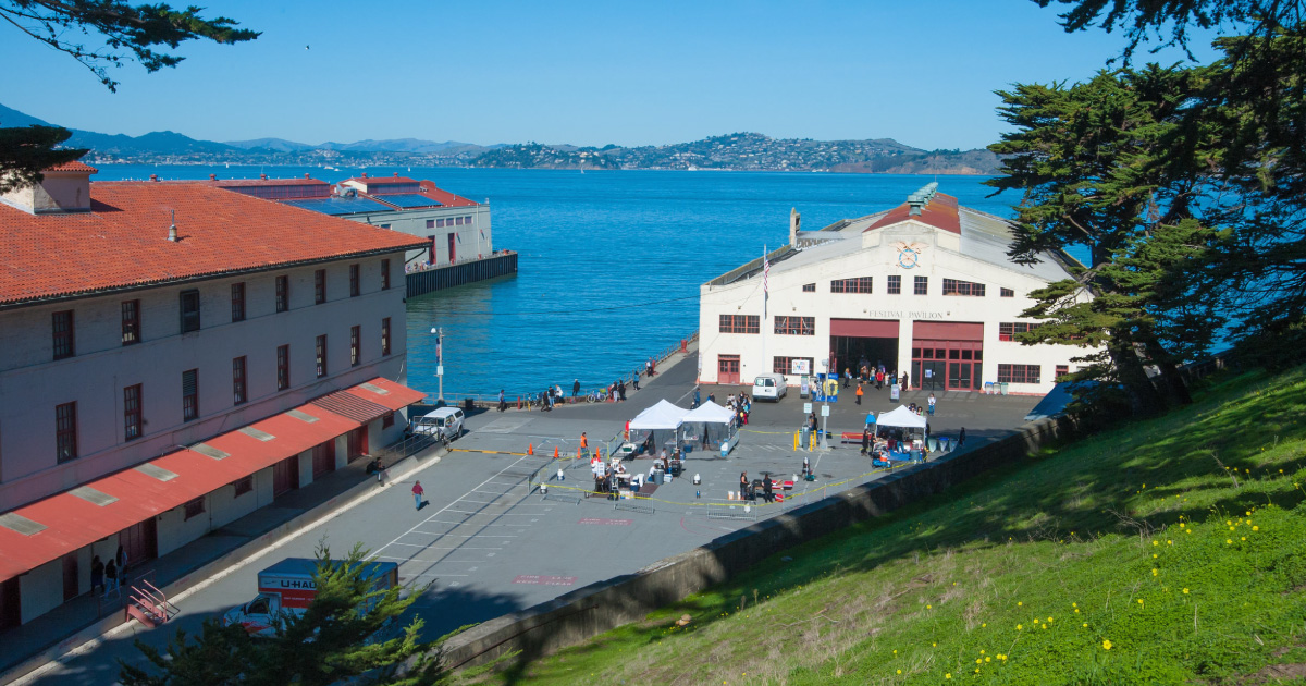 Experience the Best of the SF International Arts Festival