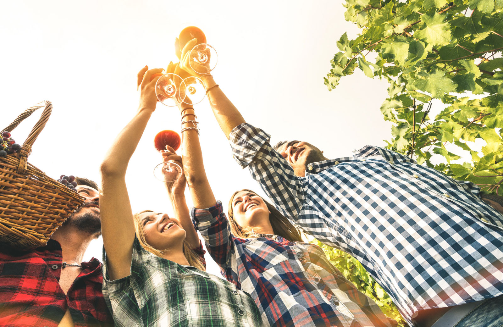friends making a wine toast in a vineyard
