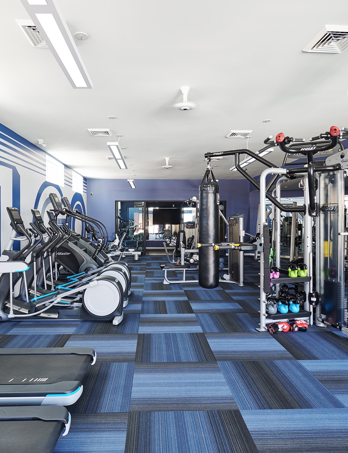 close up of the fitness and yoga room with blue carpeting and lots of exercise equipment - The Palmer Apt Luxury Amenities