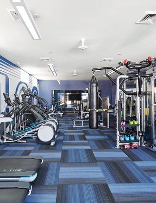 A fitness center with blue carpeting filled with exercise equipment and cardio machines